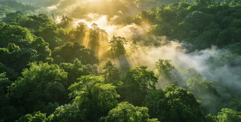 杭州肺癌68基因检测图片1